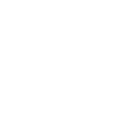 PDAAS Logo
